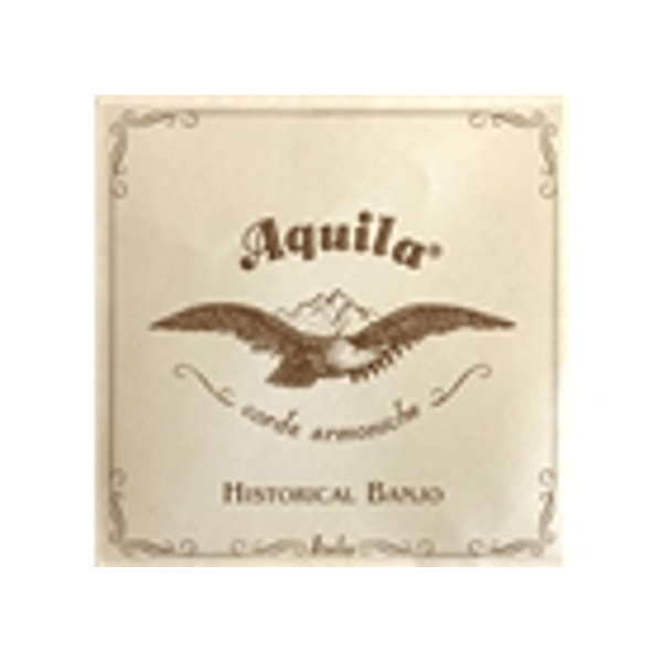 Aquila 16B 5 string Banjo Synthetic Set
