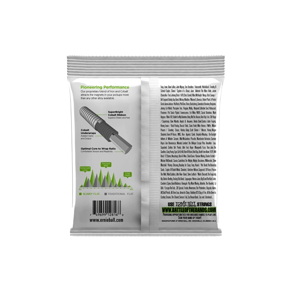Ernie Ball 2816 Regular Slinky Flatwound 45-130
