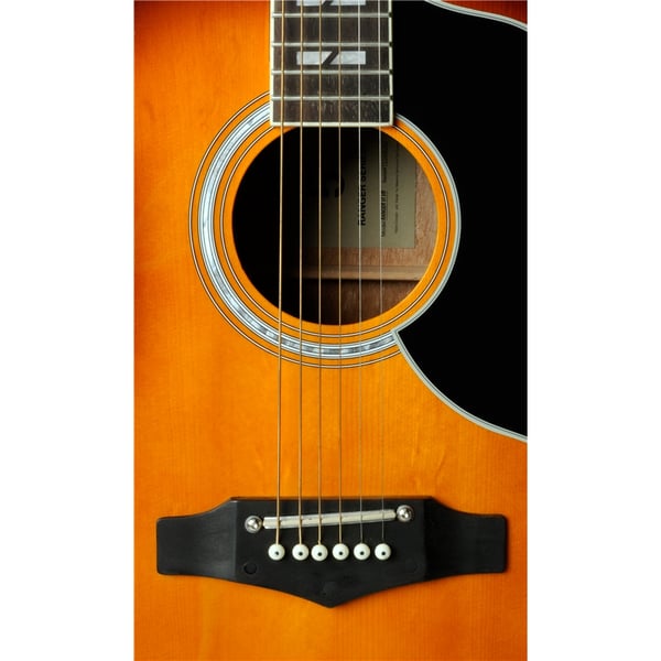 Eko Guitars Ranger VI VR Honey burst