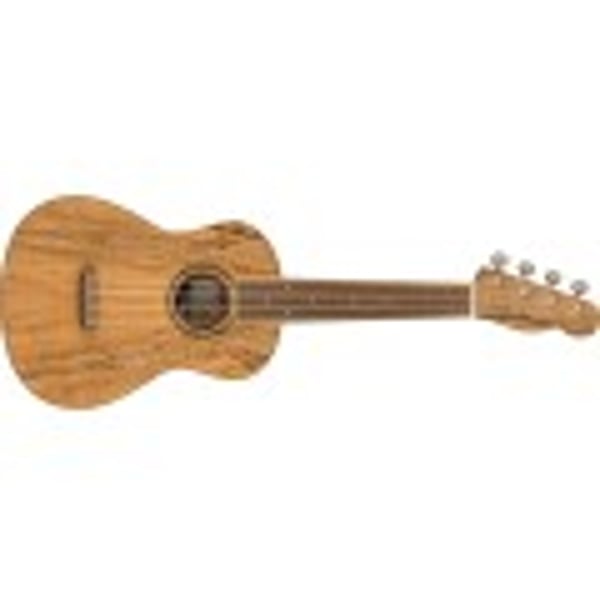 FENDER Ukulele Concert Strumenti popolari Acero marezzato Natural