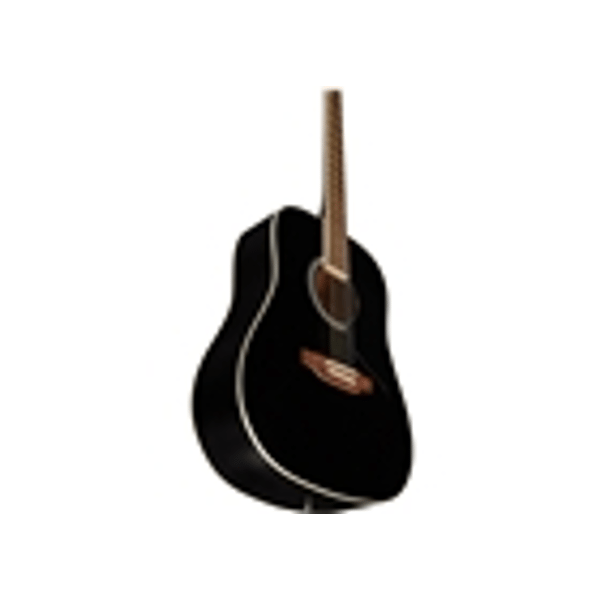 Eko Guitars Ranger 6 Black