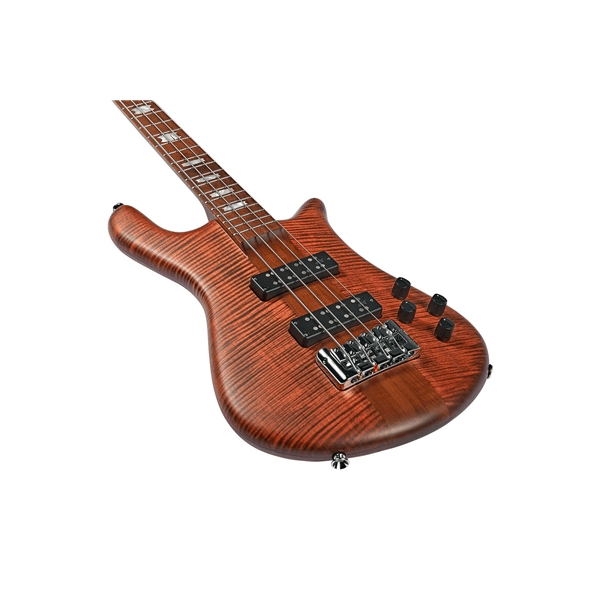 Spector NS Euro 4 Sienna Stain Matte