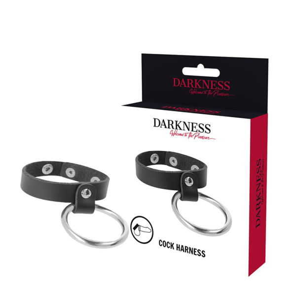DARKNESS&amp;trade; - ANNEAU MÉTALLIQUE POUR LE PÉNIS ET LES TESTICULES