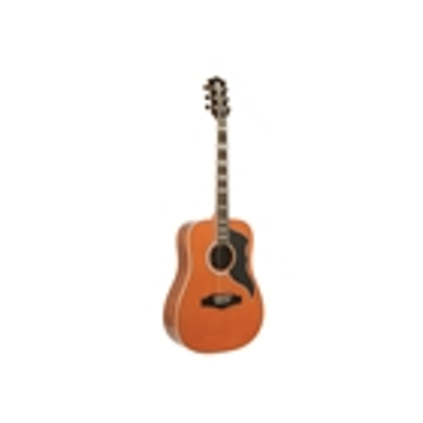 Eko Guitars Ranger VI VR Natural Top Stained