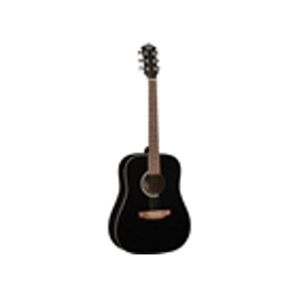 Eko Guitars Ranger 6 Black