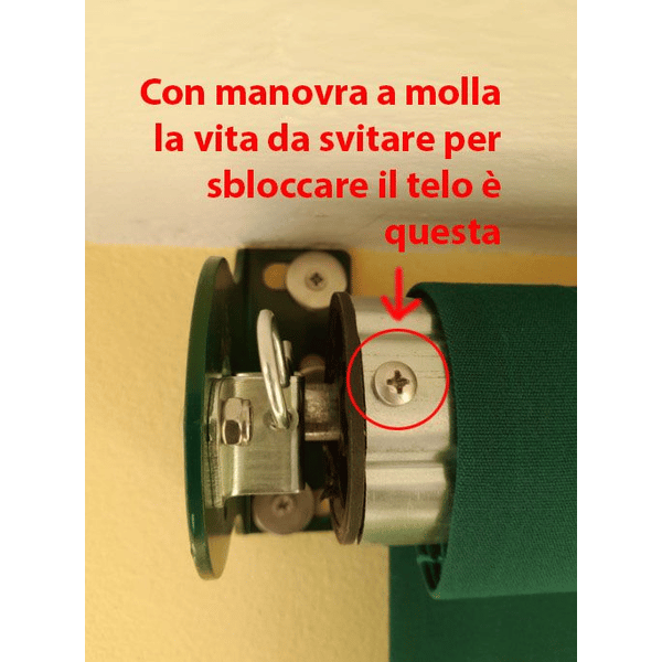 904866_4 904866_4