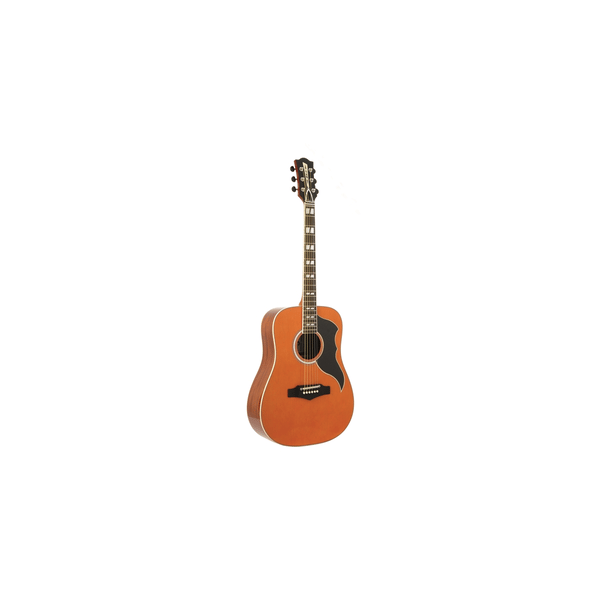 Eko Guitars Ranger VI VR Natural Top Stained