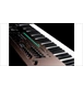 ico 1
