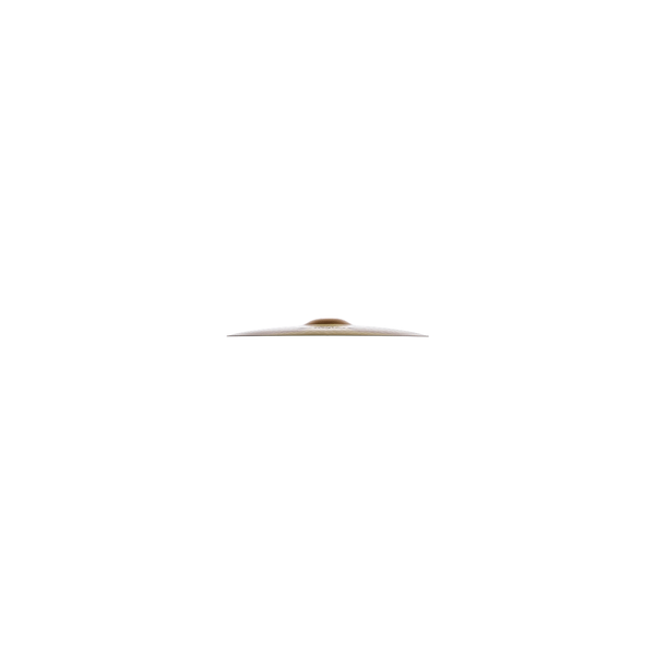 Zildjian S20TC-20" S Thin Crash