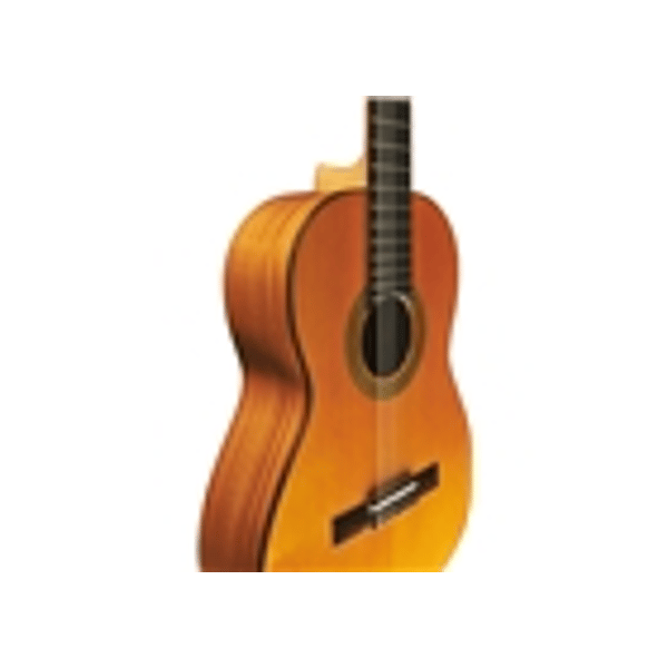 Eko Guitars EKO CHITARRA Vibra 300 Natural