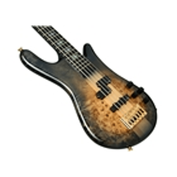 Spector Euro 5 CST - Nat Black Burst Gloss