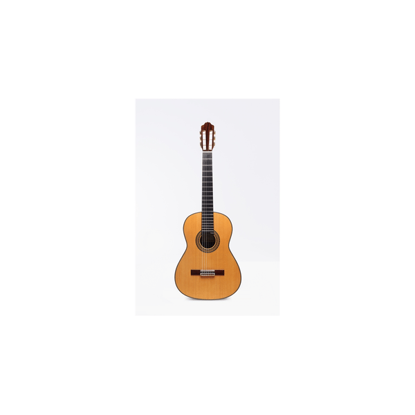 Esteve Alegria Chitarra Classica