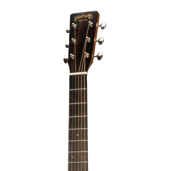 Martin & Co. D-X2EL Billy Strings Left