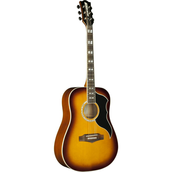 Eko Guitars Ranger VI VR Honey burst