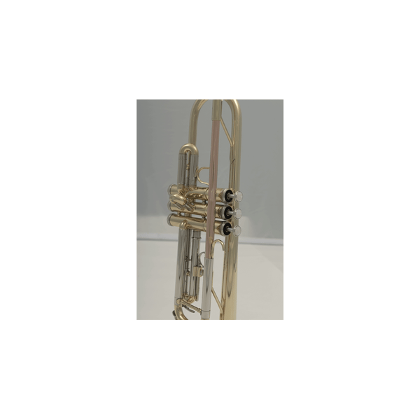 SML Paris VSM TP300 Tromba Sib