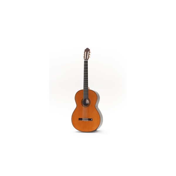 Esteve Octave Bass 6 Chitarra Contrabbasso