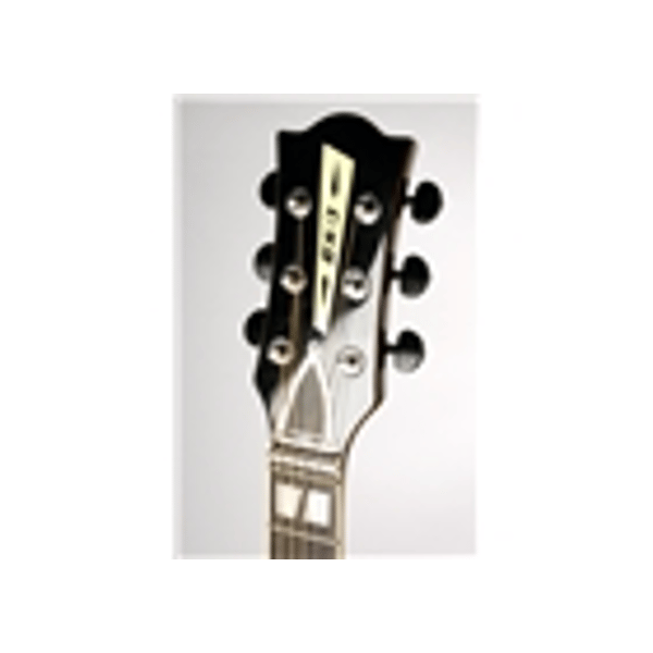 Eko Guitars Ranger VI VR Honey burst