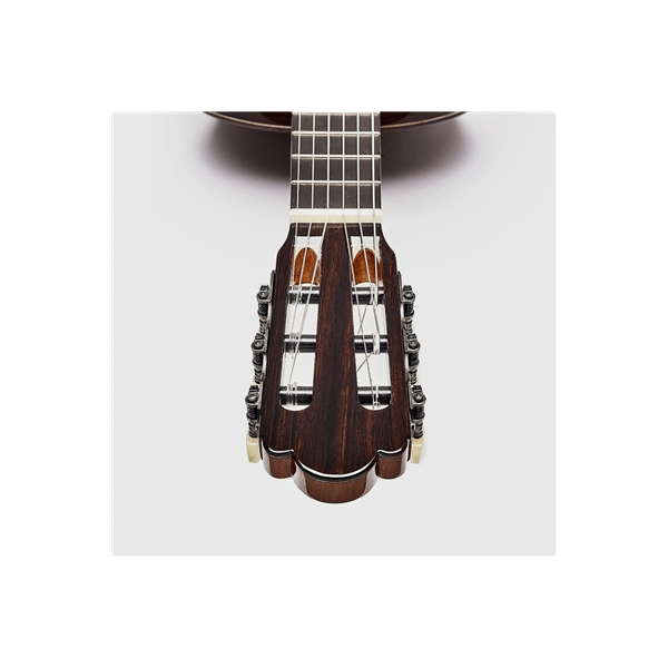 Esteve Torres Chitarra Classica