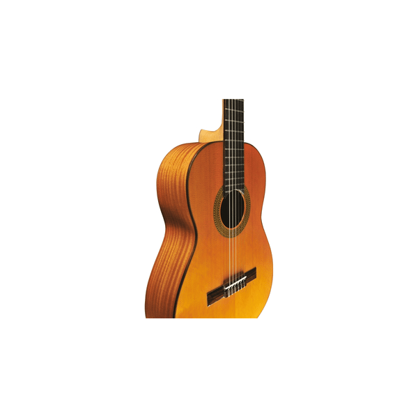 Eko Guitars EKO CHITARRA Vibra 300 Natural