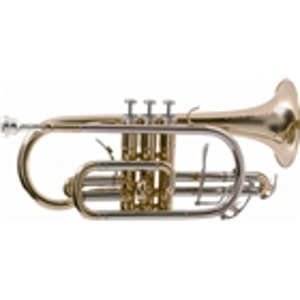 SML Paris VSM CO870-L Cornetta Nation Laccata professional