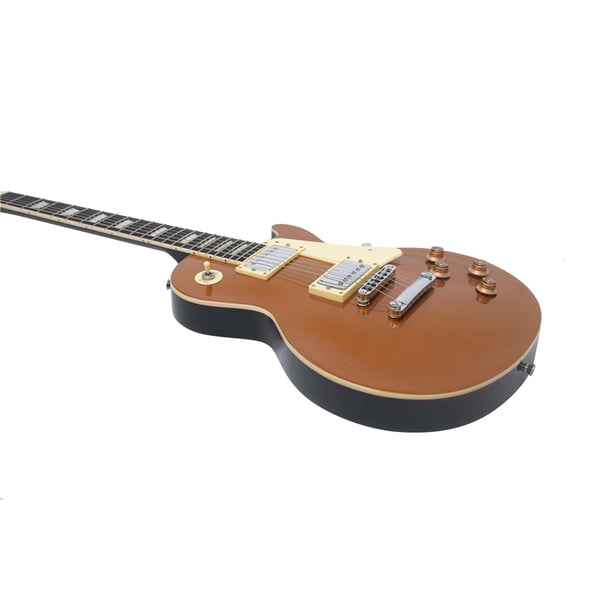 Eko Guitars LS-300 Gold