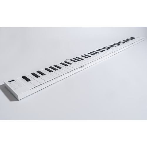 CARRY ON PIANO 88