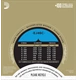 ico 1