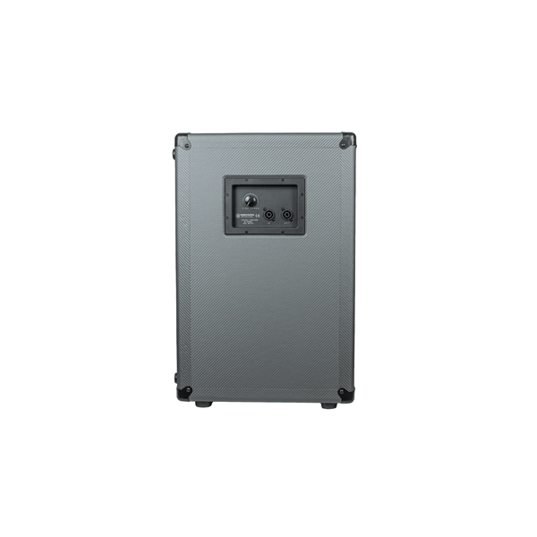 Darkglass DG210N 2x10