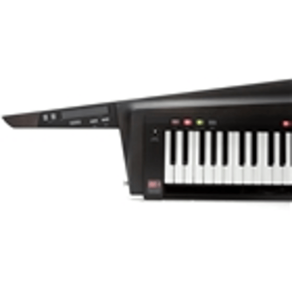 Korg RK-100S2-BLK