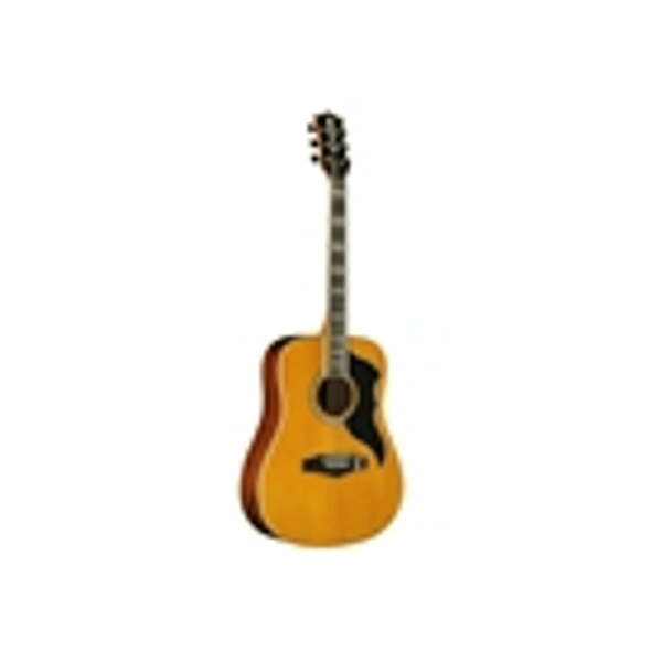 Eko Guitars Ranger VI VR Eq Natural Top Stained