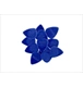 ico 1