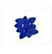 ico 0