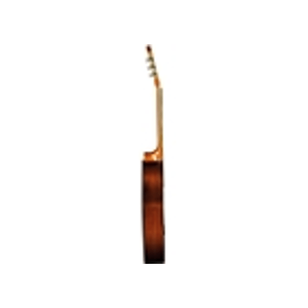 Eko Guitars CS-12