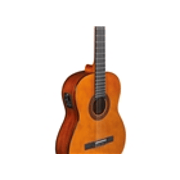 Eko Guitars CS-12 EQ