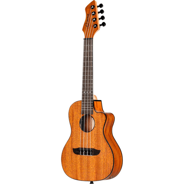 ORTEGA RUHZ-CE-MM