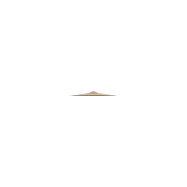 Zildjian A0124-14" A Mastersoundound HiHat - Top