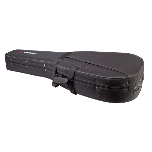 PROEL STAGE Custodia in foam per chitarra classica.