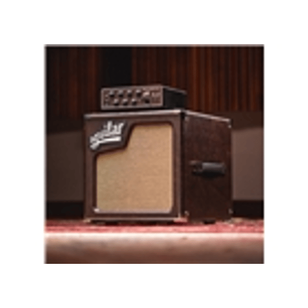 Aguilar SL 110 Chocolate Brown - 8 Ohm