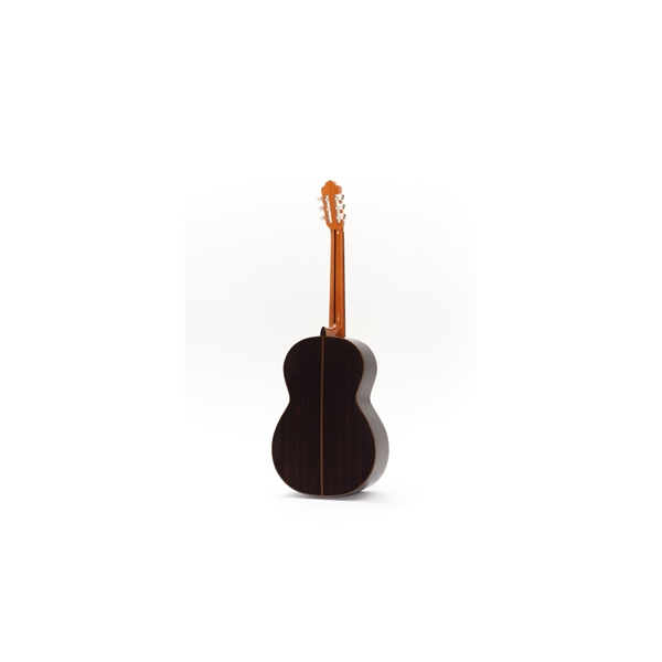 Esteve Octave Bass 6 Chitarra Contrabbasso