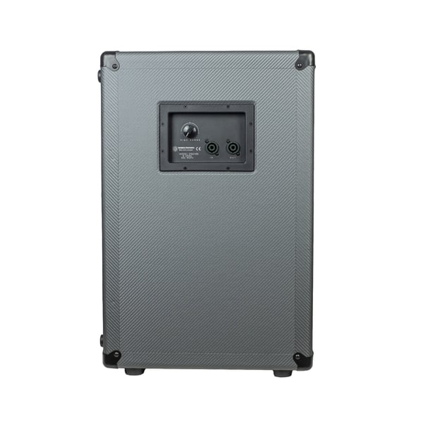 Darkglass DG210N 2x10