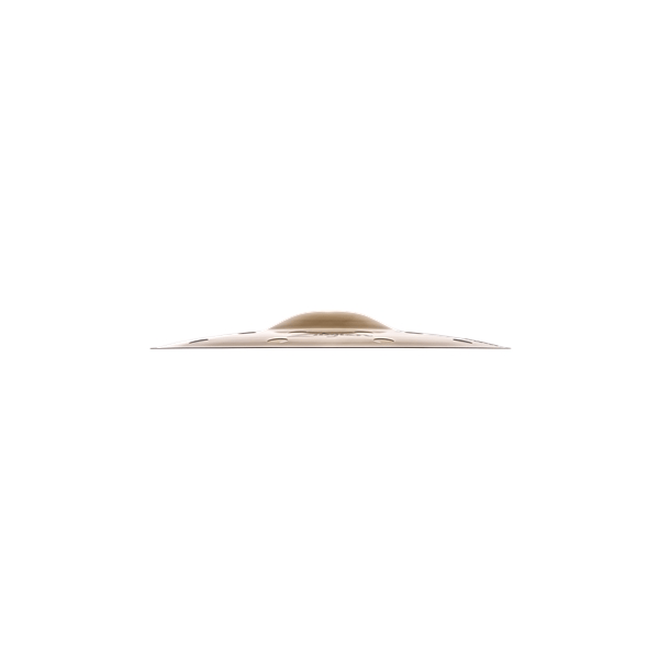 Zildjian A20808-10" A Custom EFX