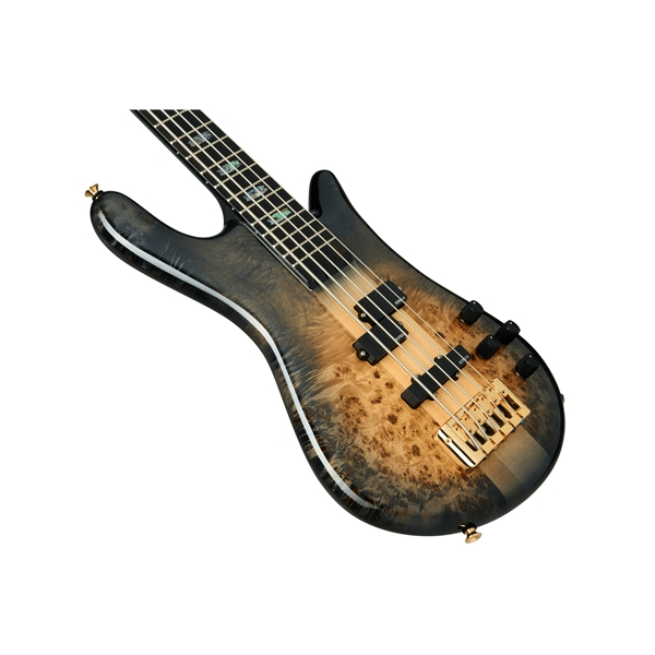 Spector Euro 5 CST - Nat Black Burst Gloss
