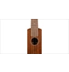 ico 1