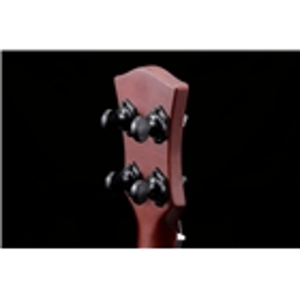 Vox VFU-1 Rosewood