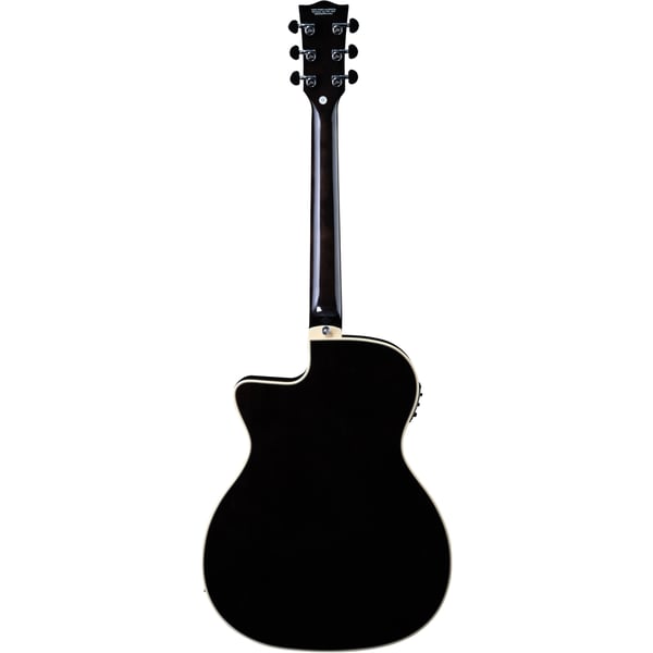 Eko Guitars NXT A100ce See Through Black