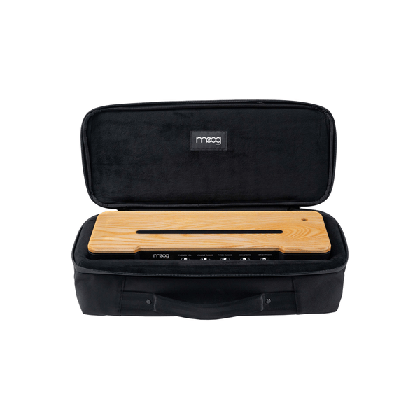 MOOG MUSIC SR Series Case per Theremin