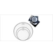 ico 2
