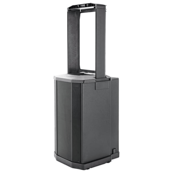 BOSE F1 SUBWOOFER ATTIVO 2x10" 1000W