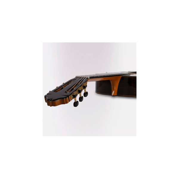 Esteve 65th Anniversario Limited Ed