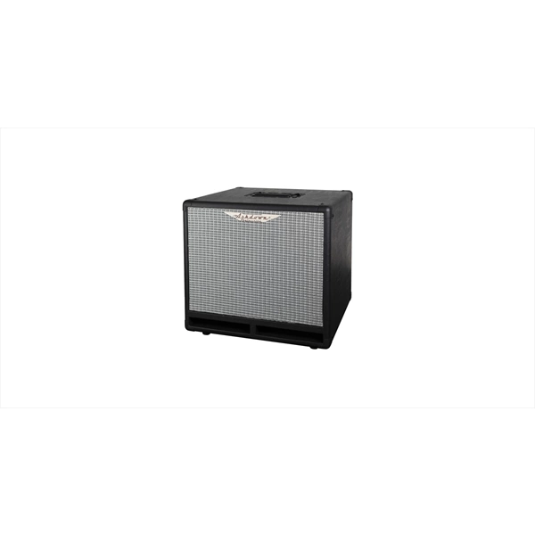Ashdown RM-110T-EVO III